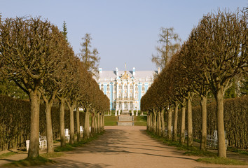Alley in park of Pushkin, famous town in Russia