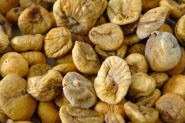 ficus carica