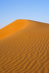 Fototapeta na wymiar Dune na pustyni Wahiba