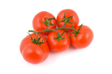 Fresh tomatoes isolated