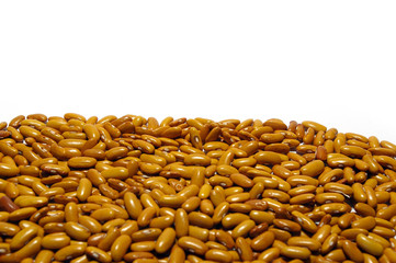 Bacground from kidney beans of  brown color