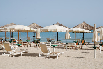 White Beach Umbrellas