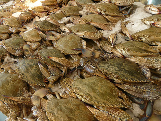 Fischmarkt, Krabben
