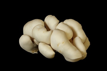 Mushrooms. Mushrooms on a black background.