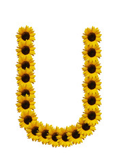 Obraz premium letter u