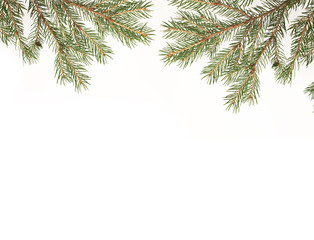 Obraz premium Tannenzweige 1