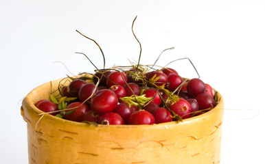 the cranberry Image in a vessel from a birch bark