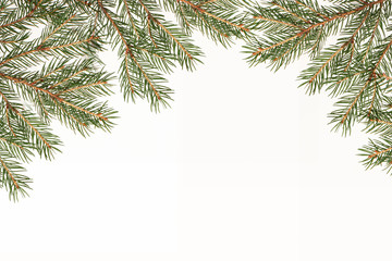 Obraz premium Dekoration aus Tannenzweigen 3