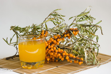 glass with juice against sea-buckthorn berries branch © pi