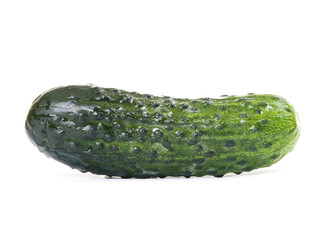 appetizing cucumber isolated on white