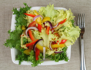 Colorful vegetable salad: onions, peppers, lettuce.