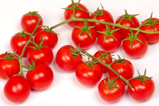 macro tomate cerise