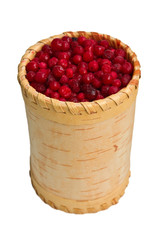 Birchbark container with frozen cowberry