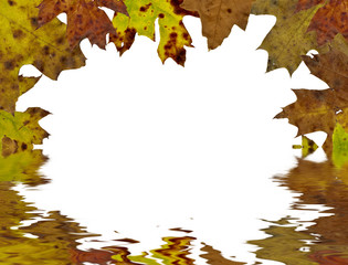 fall tree leaf background with space for text