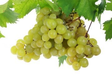 Green grapes on a white background.