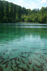 Waterfall in the Plitvice National Park UNESCO World Heritage