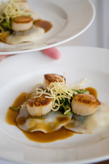 Gourmet scallops and ravioli with sauce on a white dish