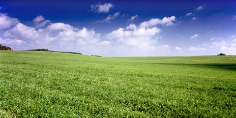 Paysage d& 39 été de Russie - champs verts, le ciel bleu.