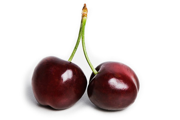 Two dark red cherries joined by the stem. Isolated on white.