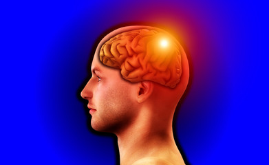 Profile Of Man With Brain 122