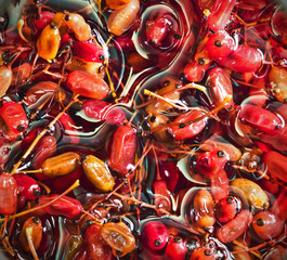 the canned barberry, closeup