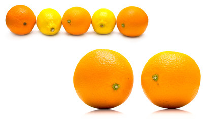 ripe whole oranges and yellow lemons on white. Isolation