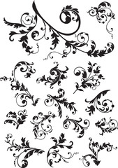 Illustration with floral design elements,