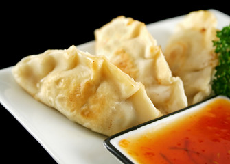 Delicious fried pork and vegetable Chinese dumplings