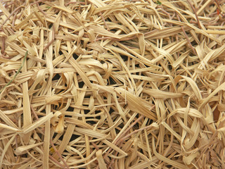 gros plan sur nid d'oiseau en paille sèche