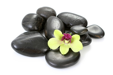 Fototapeta na wymiar black pebbles with yellow orchid isolated on white