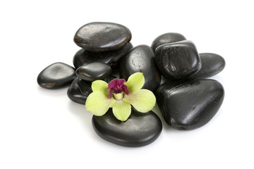 black pebbles with yellow orchid isolated on white