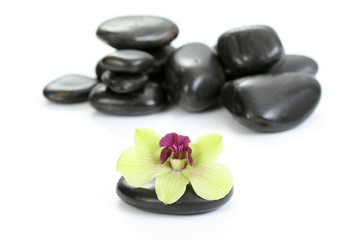 Obraz na płótnie Canvas black pebbles with yellow orchid isolated on white