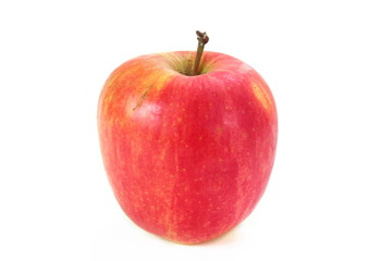 Red apple on white background
