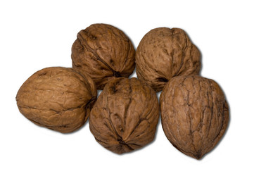 Walnüsse