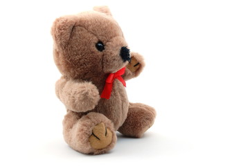 toy teddy bear isolated on white background