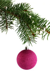 Christmas decoration isolated on the white background