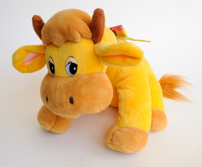 Yellow cow