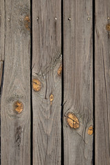 grunge old wooden texture with bitchs and hats of nails