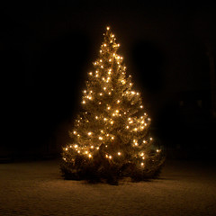 beleuchtete Weihnachtsbaum