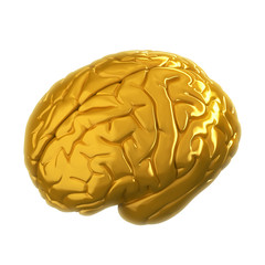 Brain Gold 02