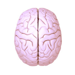 Brain Pink 03