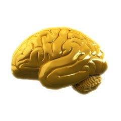 Brain Gold 03 lat