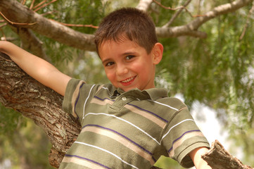 Young boy plays in a tree