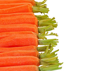 Carrots in a row