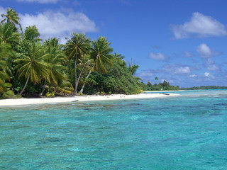 Cocotiers, sable blanc et lagon turquoise