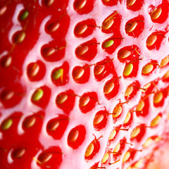 Strawberry macro, may be used as background. Shallow DOF!