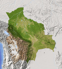 Bolivia. Shaded relief map, colored for vegetation.