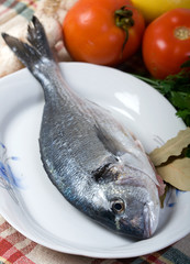 sea bream on plate