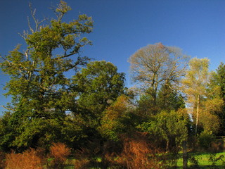 La Crousille, Limousin