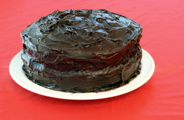 Chocolate cake undecorated and isolated on red